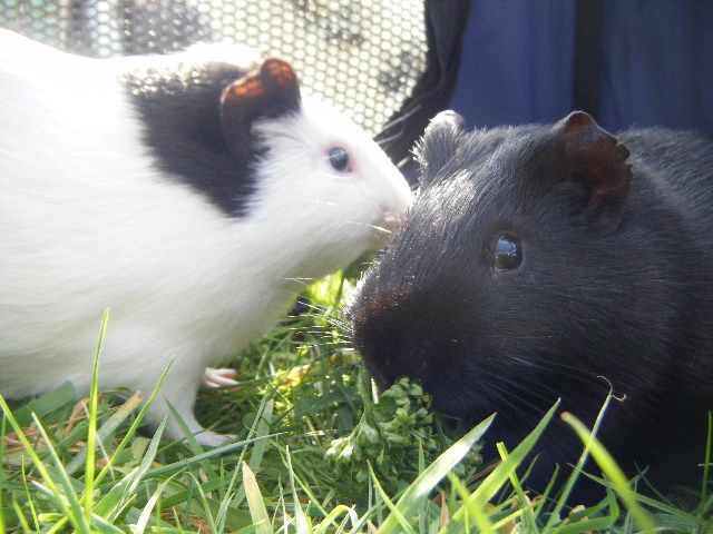 DSCF5957.jpg