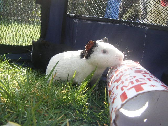 DSCF5963.jpg