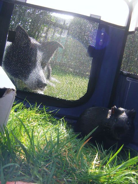 DSCF5965.jpg