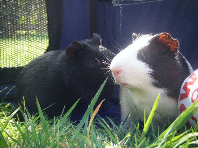DSCF5966.jpg