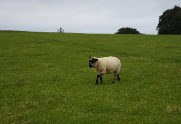 small one