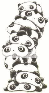 panda bears Pictures, Images and Photos