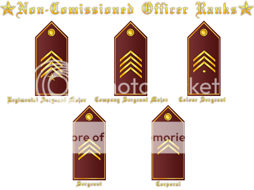 33rd Regiment of Foot * Disbanded