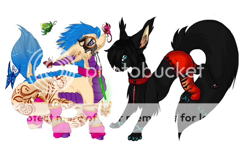 User Image
