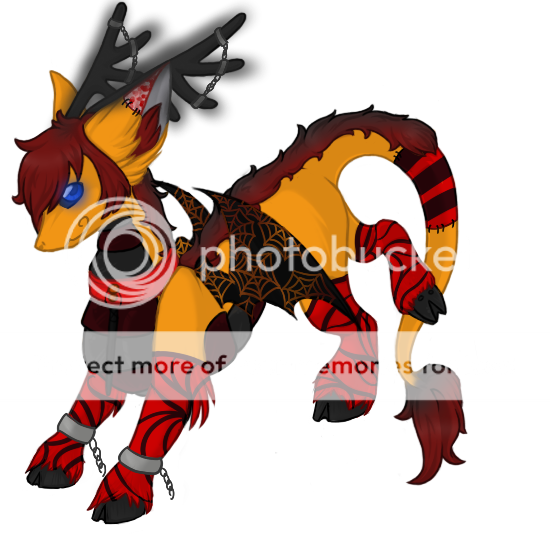 User Image