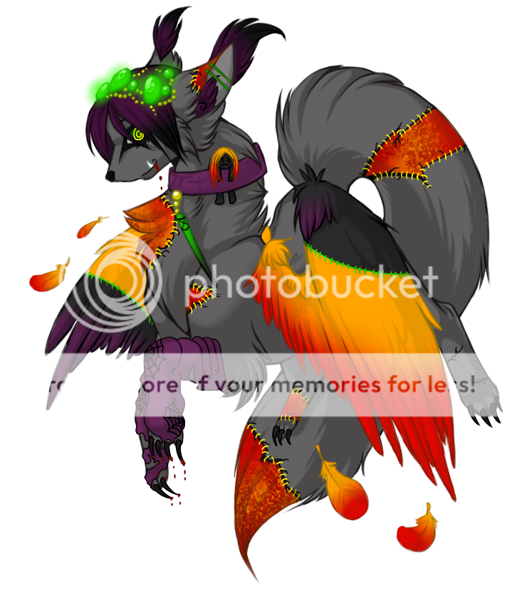 User Image